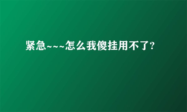 紧急~~~怎么我傻挂用不了?