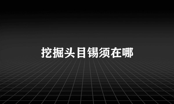 挖掘头目锡须在哪