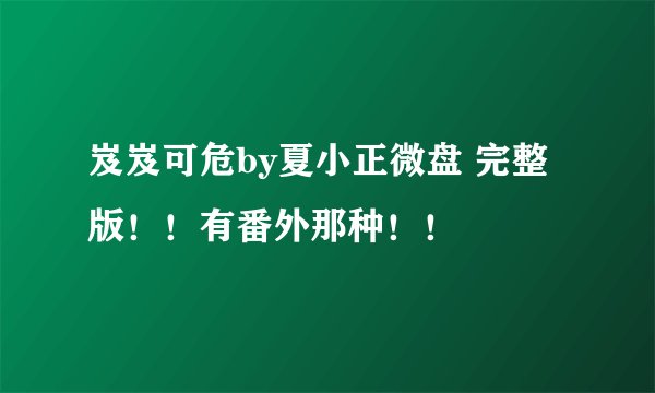 岌岌可危by夏小正微盘 完整版！！有番外那种！！