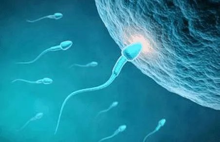 试管供卵双胞胎-广州三代试管婴儿在哪里（2023年更新（今日/小红书）v6.5.2）