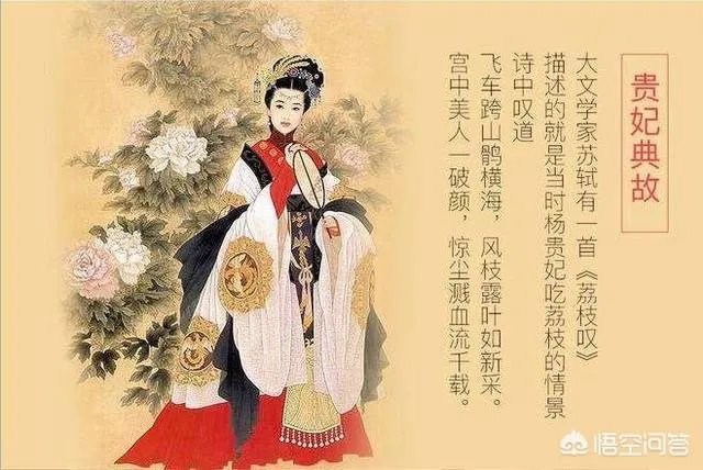 杨贵妃要等多久才能吃到新鲜荔枝?