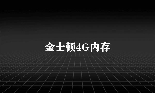 金士顿4G内存