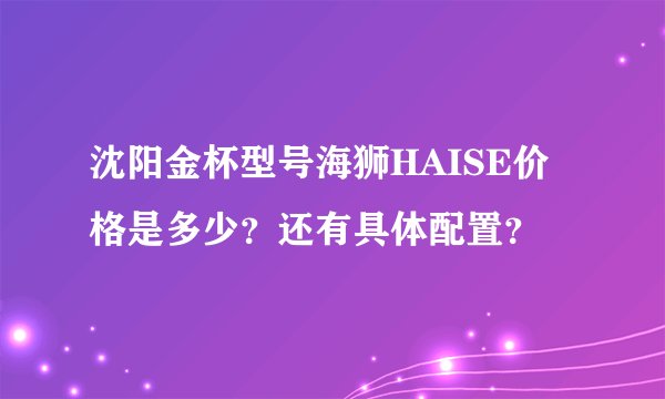 沈阳金杯型号海狮HAISE价格是多少？还有具体配置？