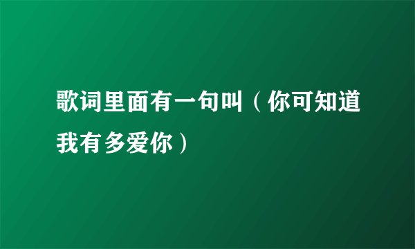 歌词里面有一句叫（你可知道我有多爱你）