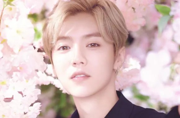 鹿晗称“化妆不分性别”,男人化妆是美丽的错误吗?