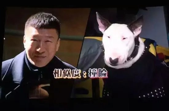 如何评价孙红雷在《极限挑战》中的人品?