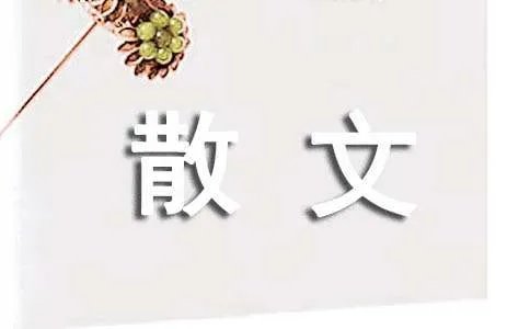 过往回忆的抒情散文