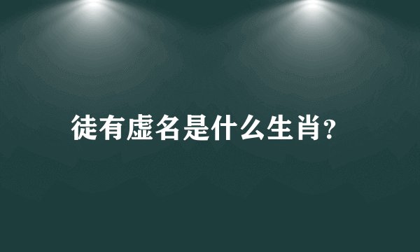 徒有虚名是什么生肖？