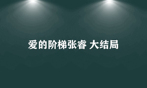 爱的阶梯张睿 大结局