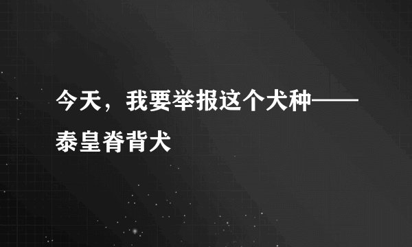 今天，我要举报这个犬种——泰皇脊背犬