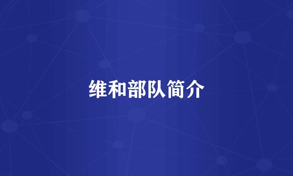 维和部队简介