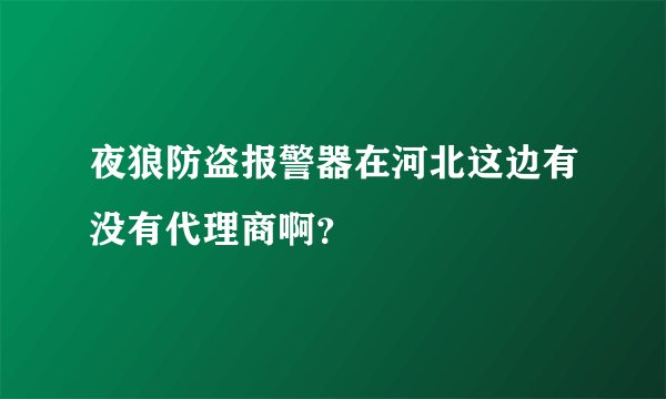 夜狼防盗报警器在河北这边有没有代理商啊？