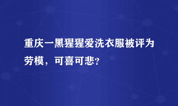 重庆一黑猩猩爱洗衣服被评为劳模，可喜可悲？