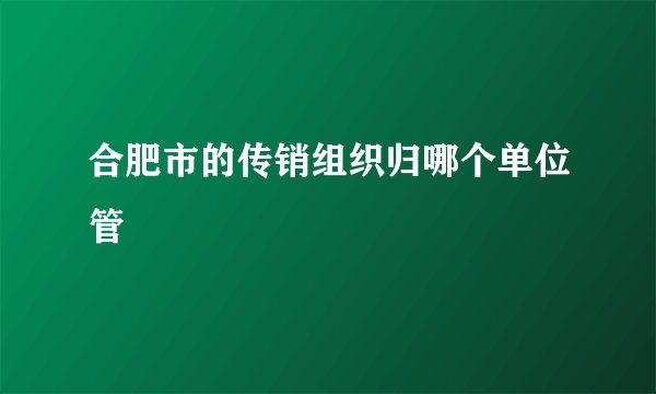 合肥市的传销组织归哪个单位管