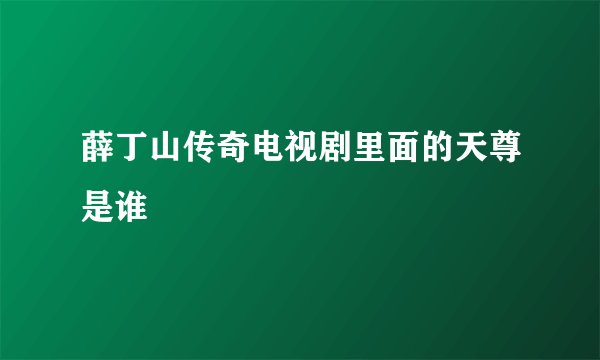 薛丁山传奇电视剧里面的天尊是谁