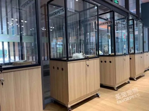 开宠物店需要什么手续和证件?