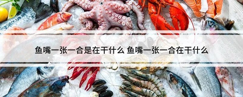 鱼嘴一张一合是在干什么 鱼嘴一张一合在干什么