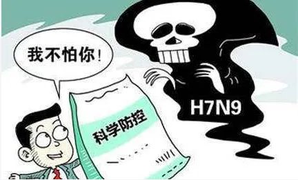 H7N9进入高发期要怎么预防?