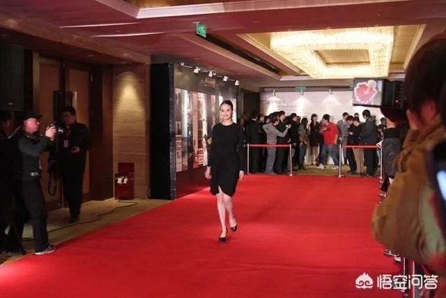 中国某十八线网红再蹭红毯;网友: 戛纳红毯要求这么低?