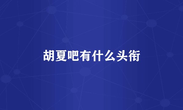 胡夏吧有什么头衔