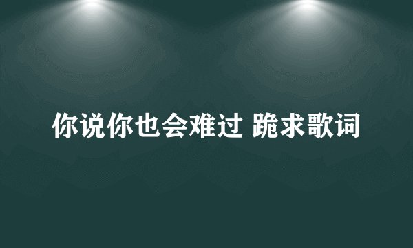 你说你也会难过 跪求歌词