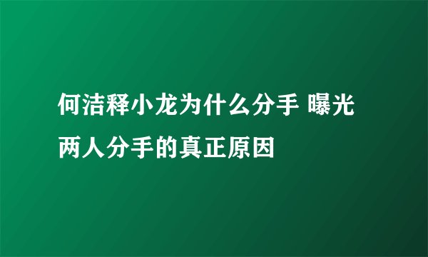 何洁释小龙为什么分手 曝光两人分手的真正原因