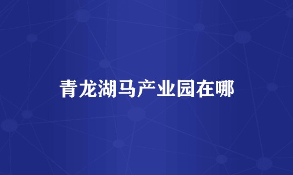 青龙湖马产业园在哪