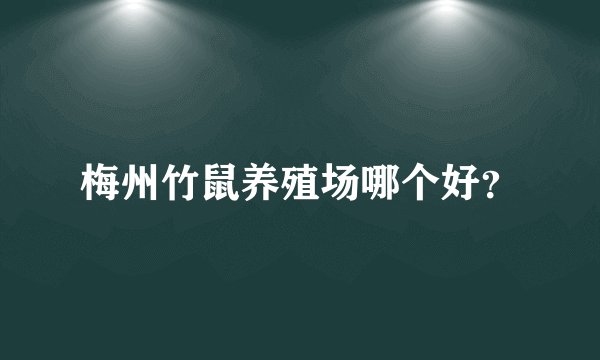 梅州竹鼠养殖场哪个好？