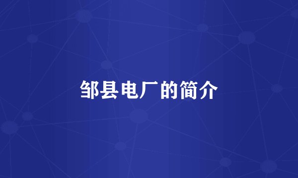 邹县电厂的简介