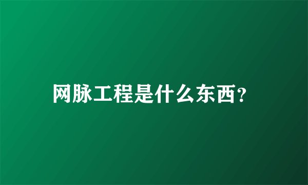 网脉工程是什么东西？