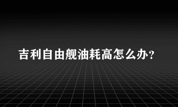 吉利自由舰油耗高怎么办？