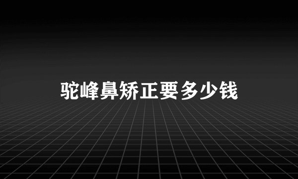 驼峰鼻矫正要多少钱