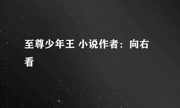 至尊少年王 小说作者：向右看