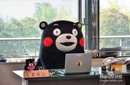 企业品牌策划公司可以做什么?