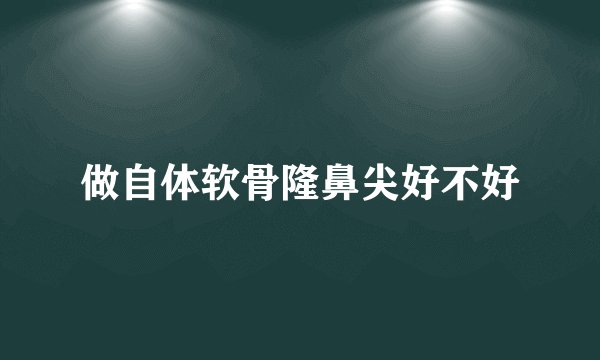 做自体软骨隆鼻尖好不好