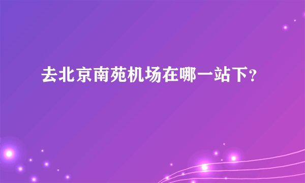 去北京南苑机场在哪一站下？
