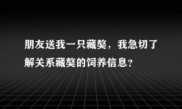 朋友送我一只藏獒，我急切了解关系藏獒的饲养信息？