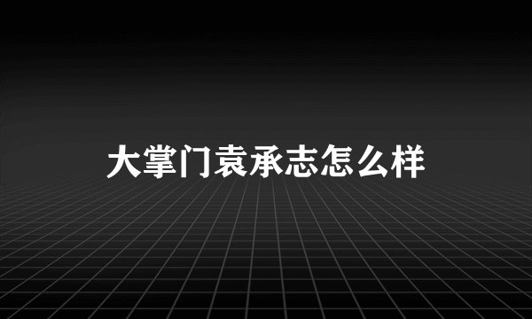 大掌门袁承志怎么样