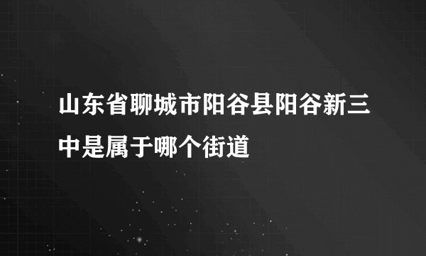 山东省聊城市阳谷县阳谷新三中是属于哪个街道