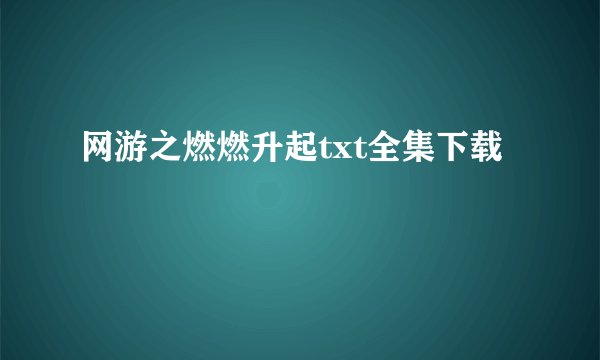 网游之燃燃升起txt全集下载