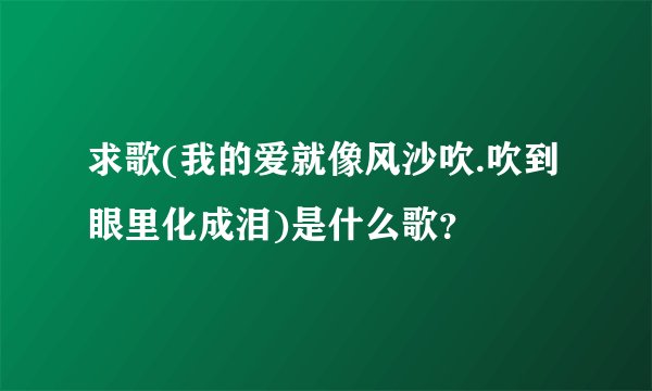 求歌(我的爱就像风沙吹.吹到眼里化成泪)是什么歌？