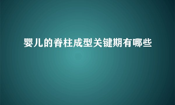 婴儿的脊柱成型关键期有哪些