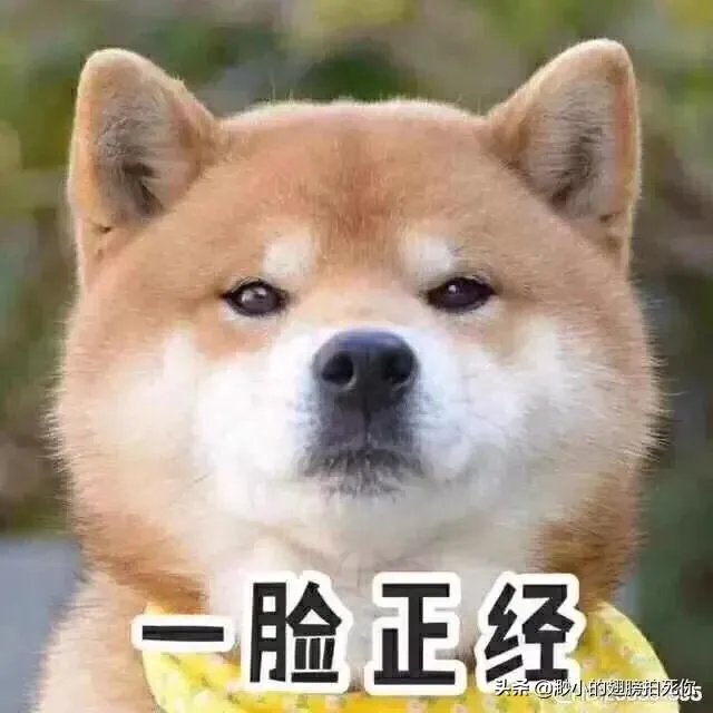 1965年黄河巨鳖事件是不是真实的?有何依据?