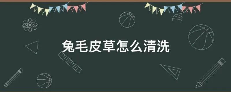 兔毛皮草怎么清洗