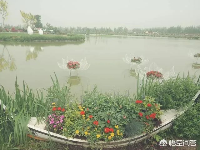 如果嫁给一个不爱的人,婚姻到底会有多悲催?