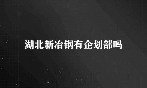 湖北新冶钢有企划部吗