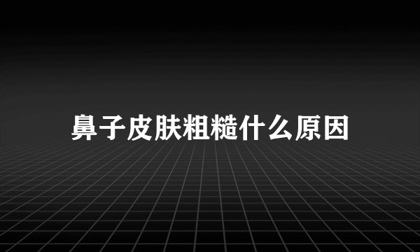 鼻子皮肤粗糙什么原因