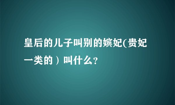 皇后的儿子叫别的嫔妃(贵妃一类的）叫什么？