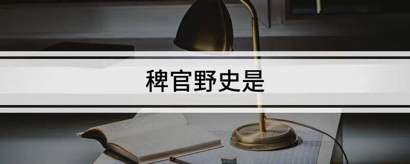 稗官野史是
