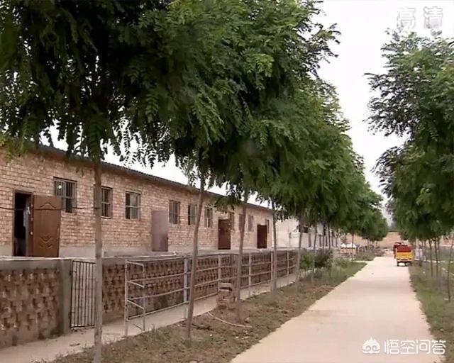 奶山羊怎样提高产量和品质?
